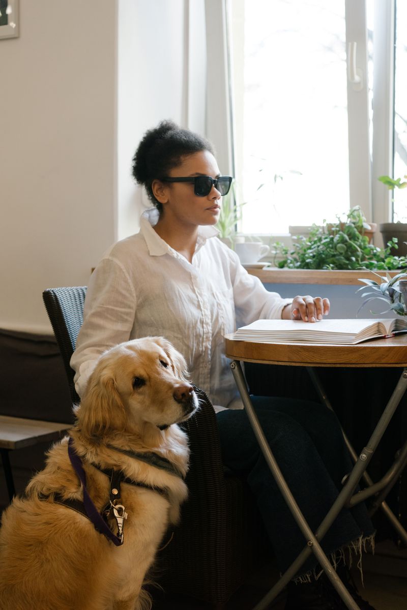Assistance Or Service Dog Documentation