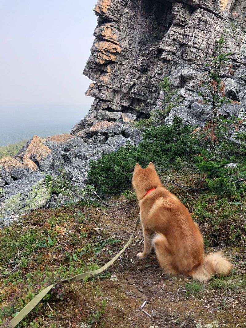 Use a Leash Near Cliffs and Rocky Hillsides