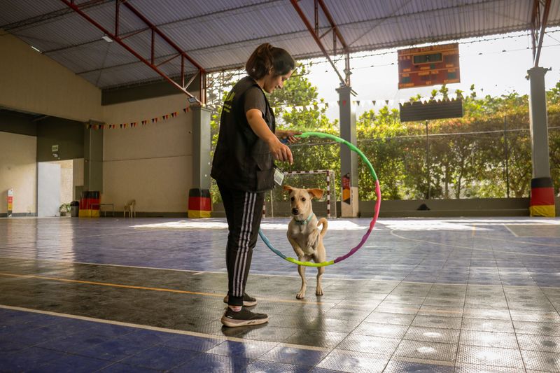 Canine Hoopers