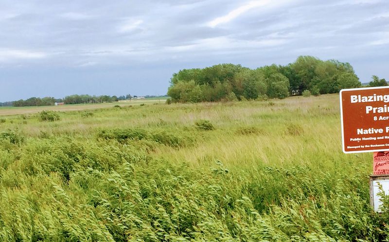 Blazing Prairie Conservation Area