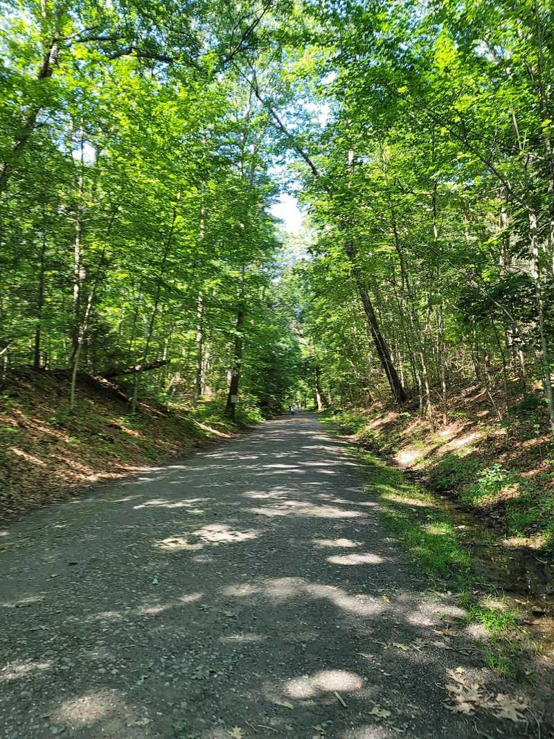 Mass Central Rail Trail: Choose Your Stretch First