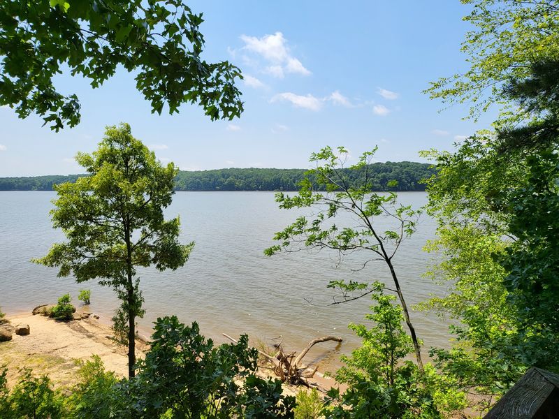 Staunton River State Park Campground, Southern Piedmont Space in Halifax County