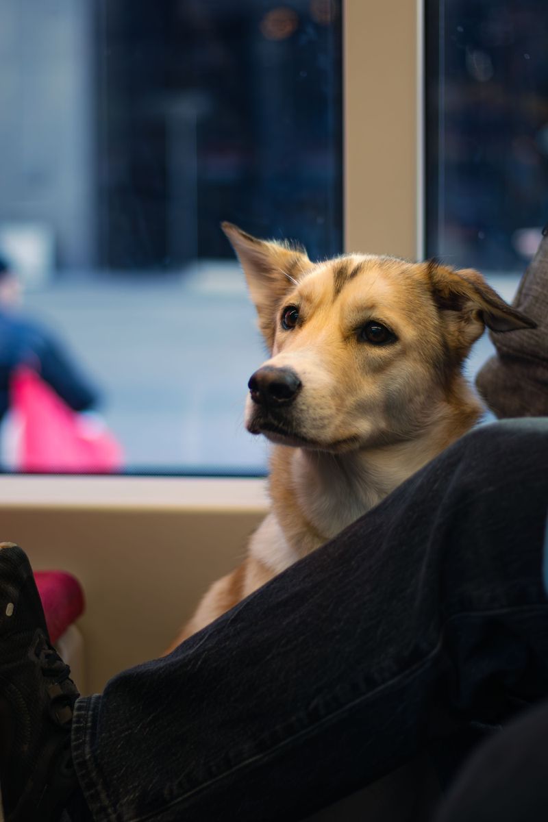 Smart Habits for Every Trip