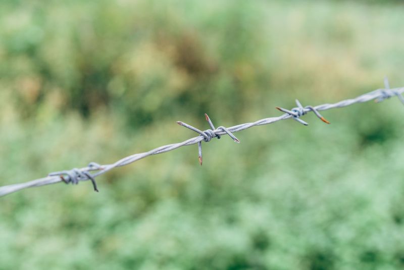 Barbed Wire and Broken Fencing Can Injure Paws