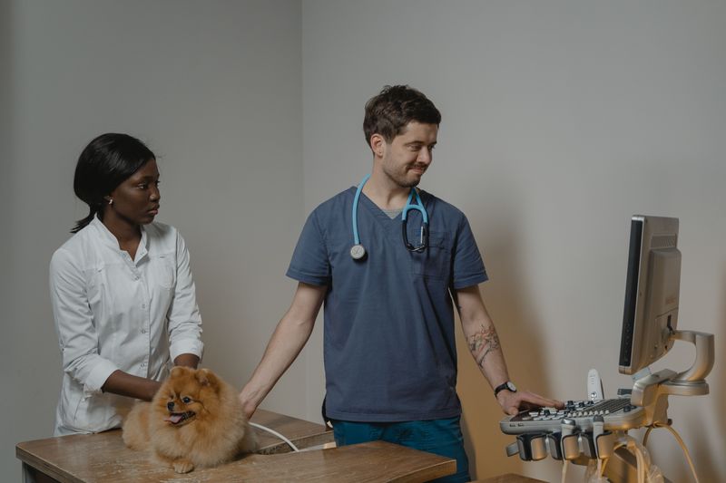 Know Which Specialty Services Require a Long Drive