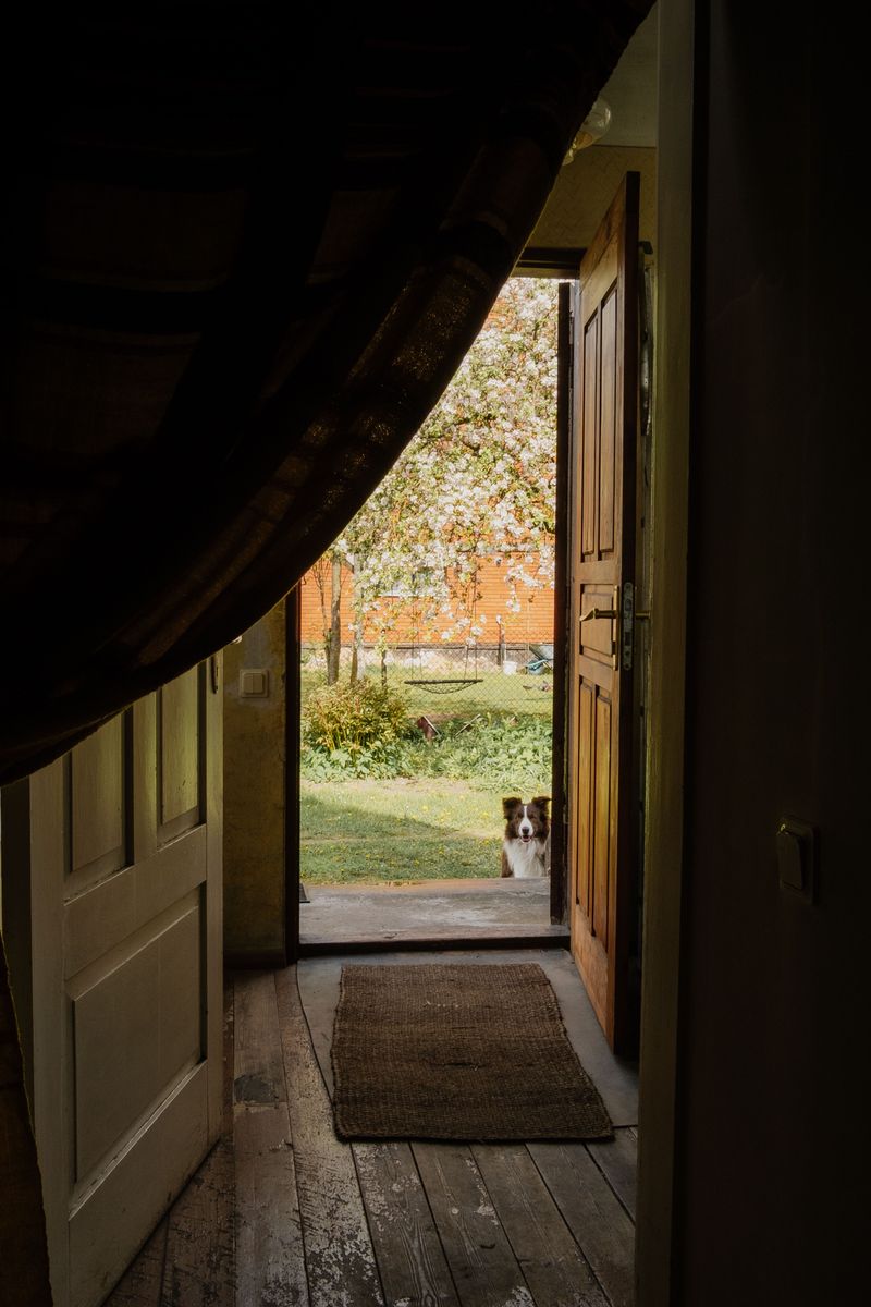 Add A Second Mat Inside The Entry