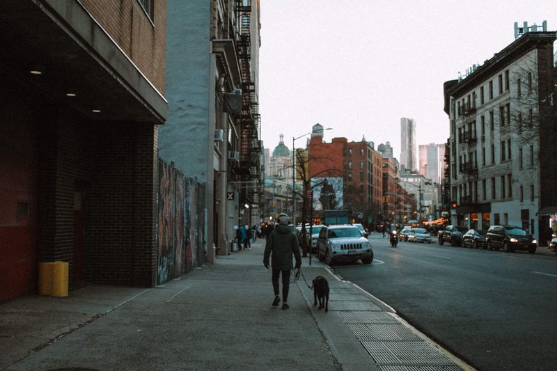 Help Your Dog Feel Safe in Crowded Sidewalks