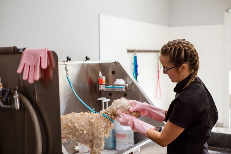Make Room for a Dog-Washing Setup