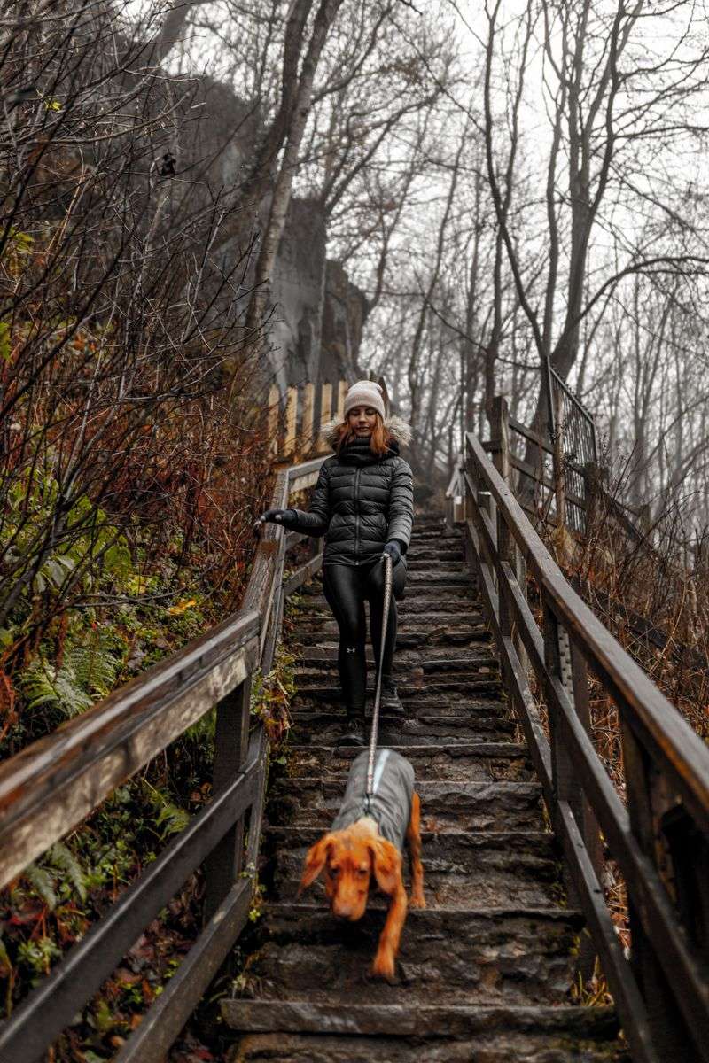 Steady on Stairs and Sidewalks