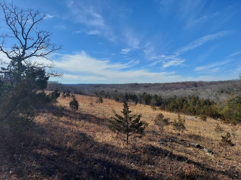 Victoria Glades Conservation Area