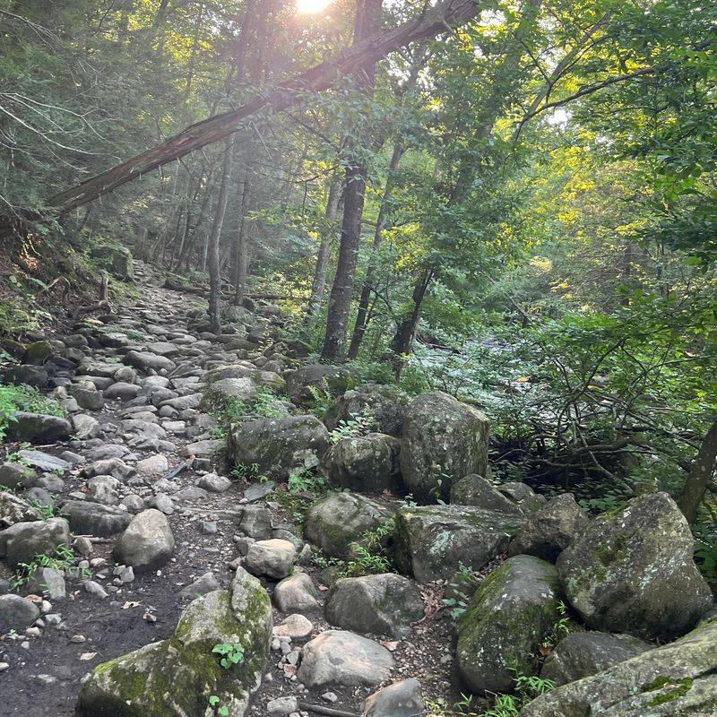 Dunnfield Creek Trail: Let the Brook Set the Pace