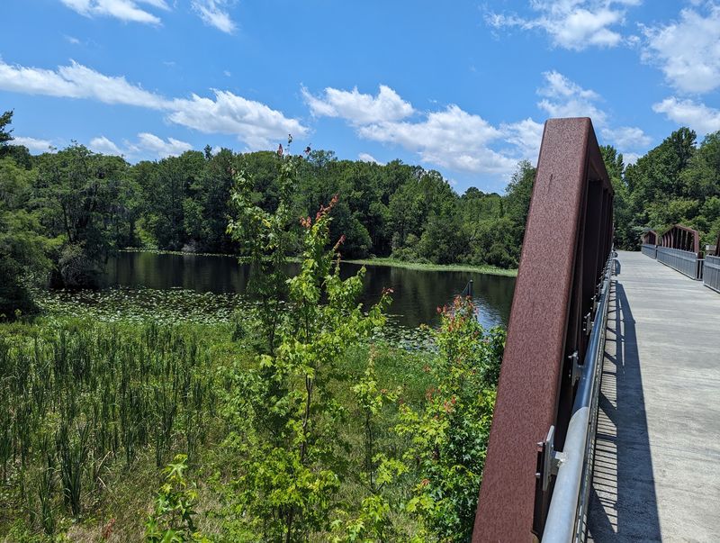 Dunnellon Trail: River Views at a Gentle Pace