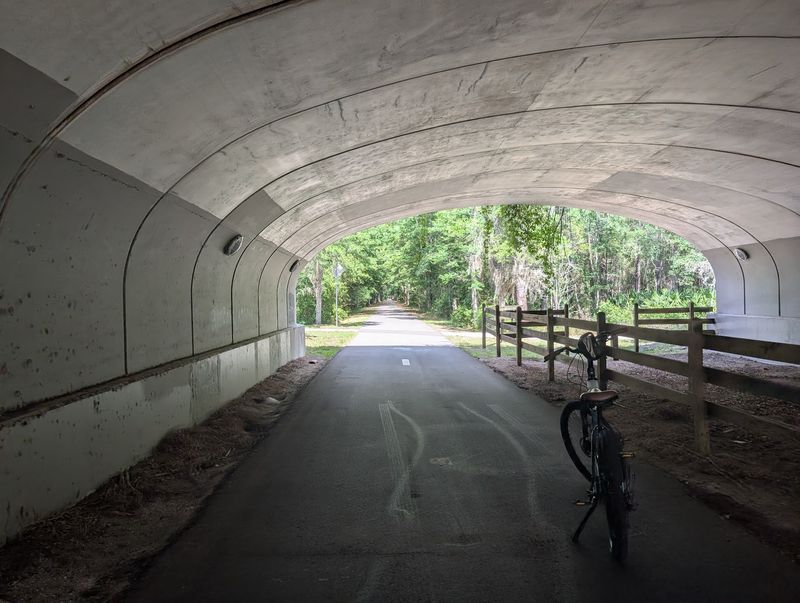 Jacksonville-Baldwin Rail Trail: A Woodland Change of Pace