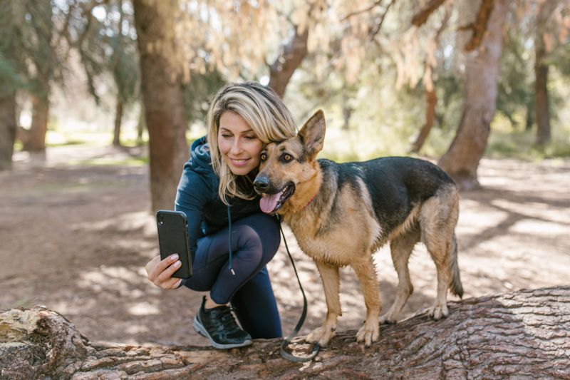 Keep a Recent Photo of Your Dog on Your Phone