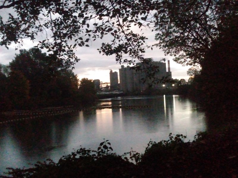Duwamish River Trail: Seattle's Unexpected Waterside Pause