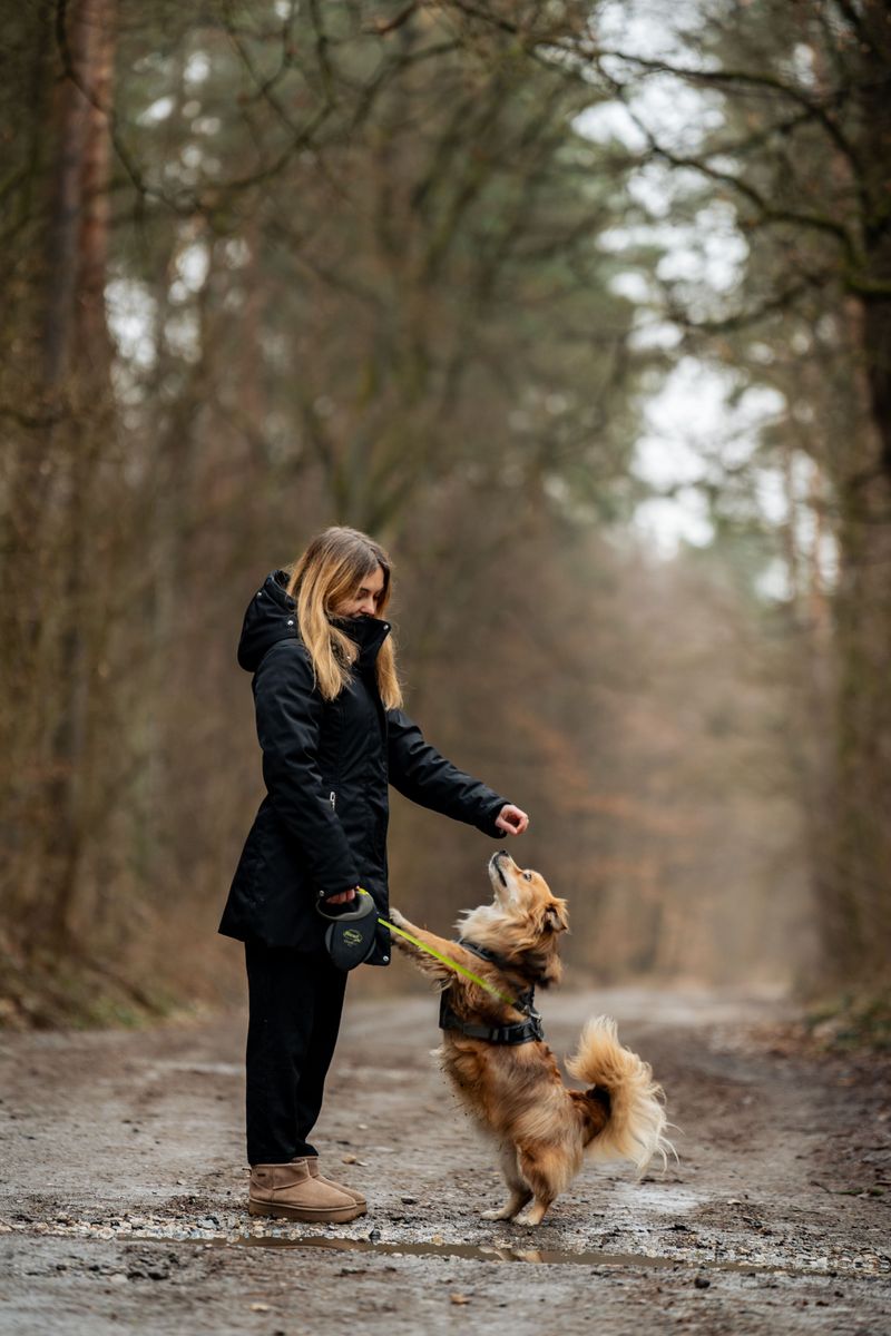Know How Your Dog Handles Wildlife Encounters