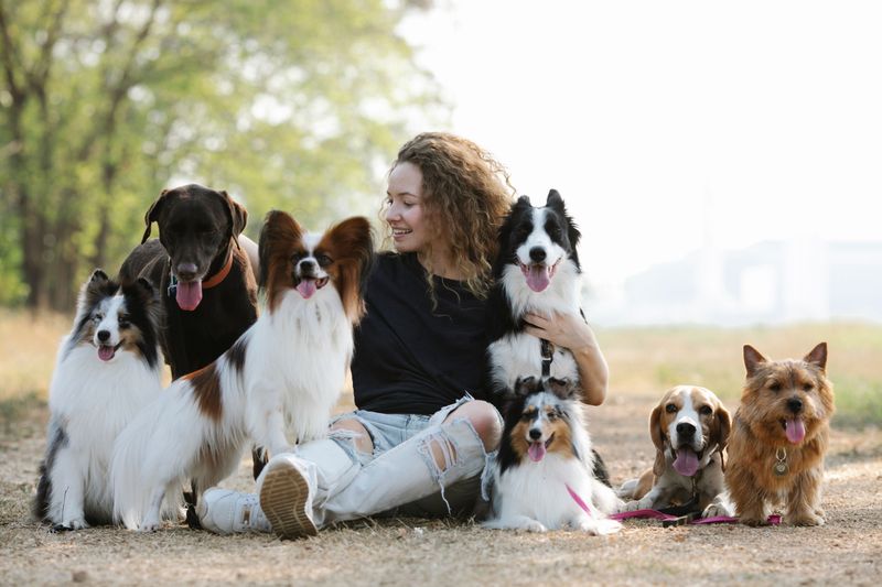 Verify the Breeder’s Reputation Independently