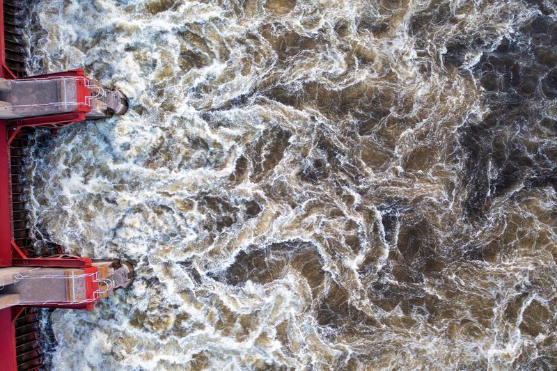 Strong Currents Can Sweep Dogs Away