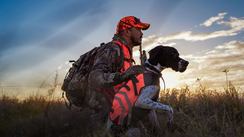 Find Out If Hunting Season Is Open