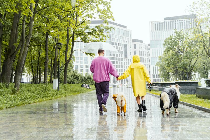 Rainy Days Are Routine in Houston