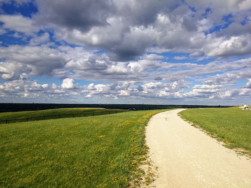 Greene Valley Forest Preserve, Naperville/Bolingbrook