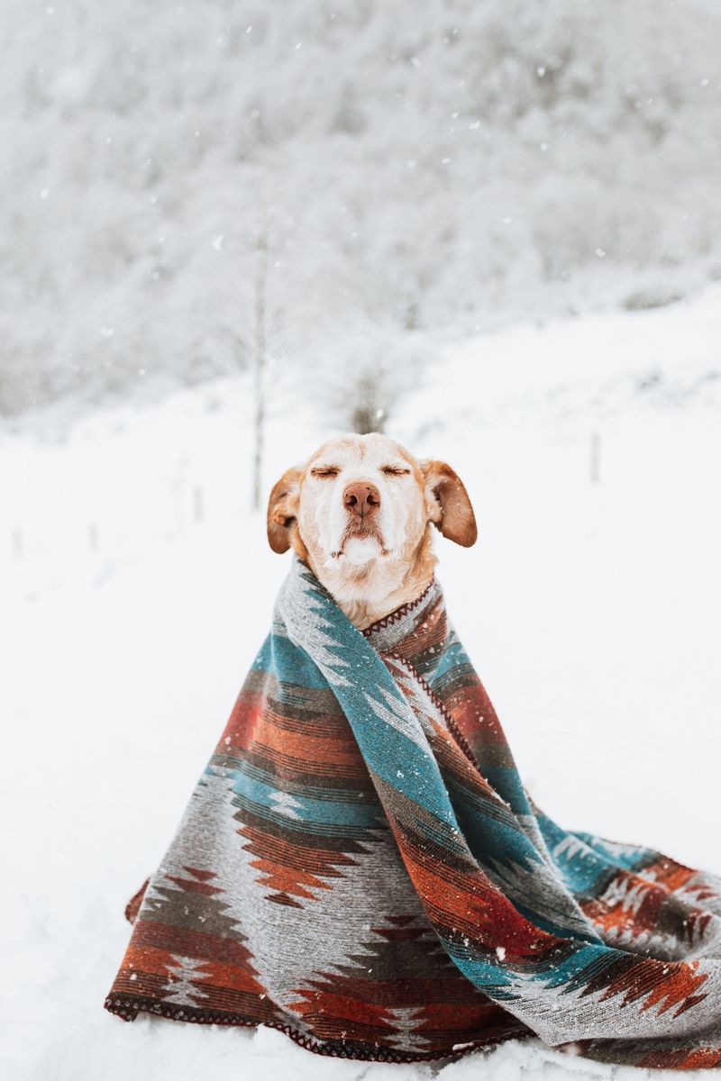 Warm Blankets