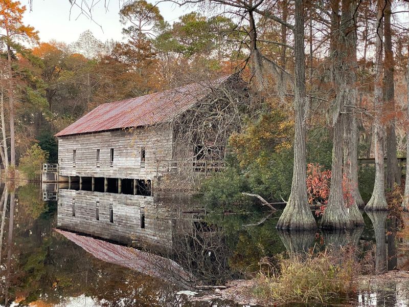 George L. Smith State Park, Twin City: Mill Pond Magic