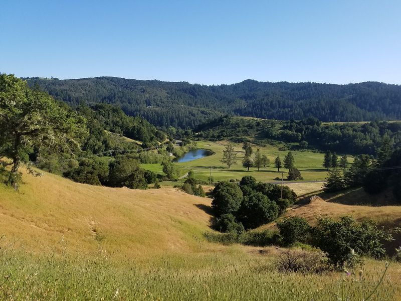 French Ranch Fire Road: Woodland With a Valley View