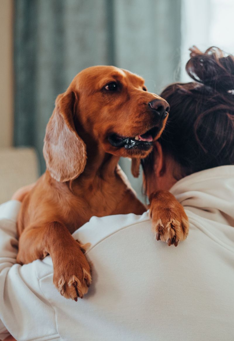 Thunderstorms Can Change a Puppy’s Behavior