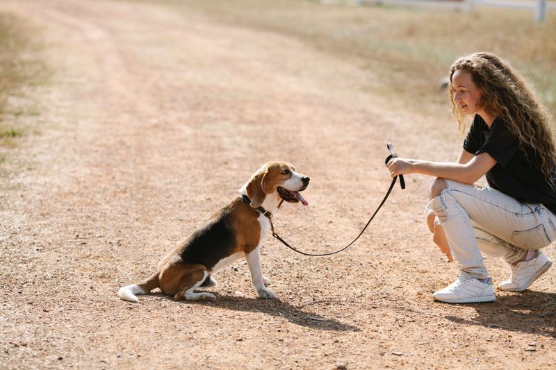 Will Your Dog Come When Called?