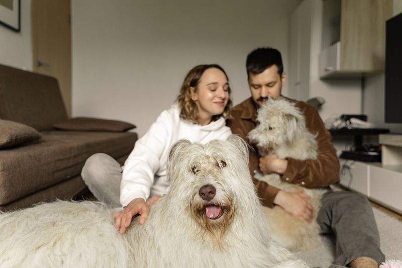 Does Homeowners or Renters Insurance Cover Dog Injuries?