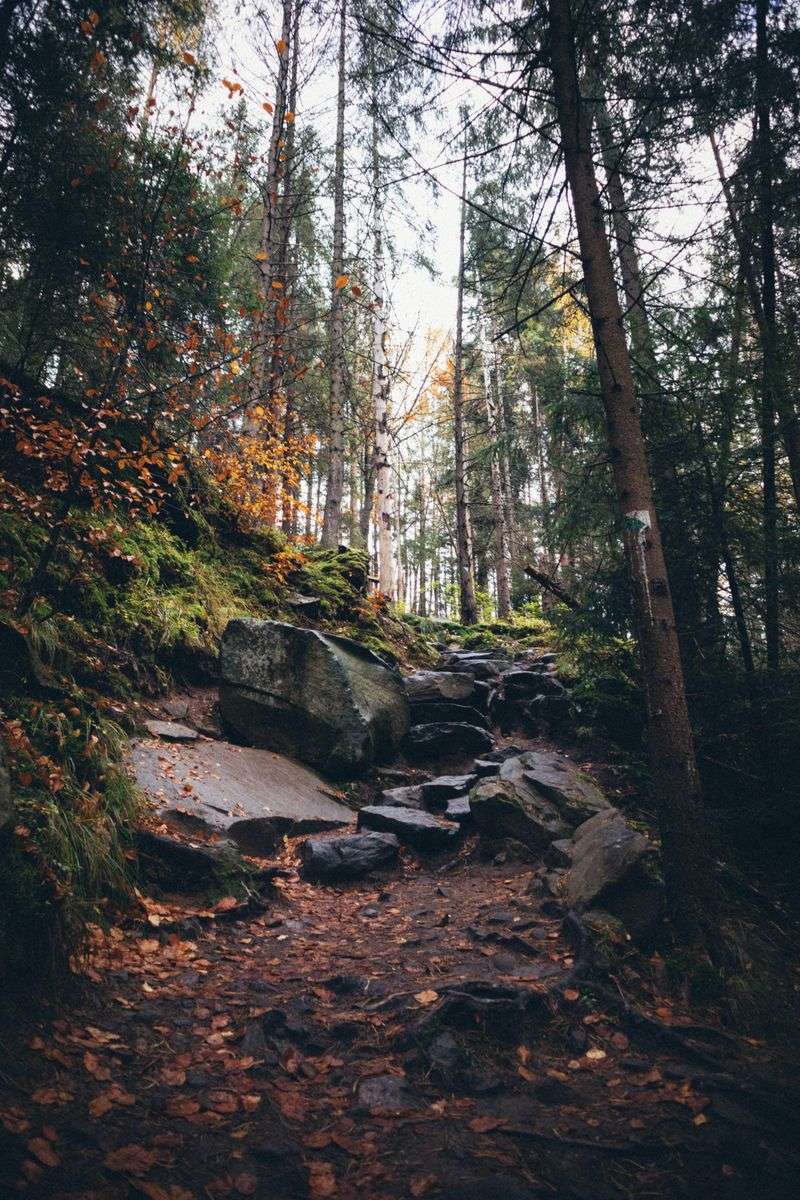 Look for Shelter Along Rocky Trails
