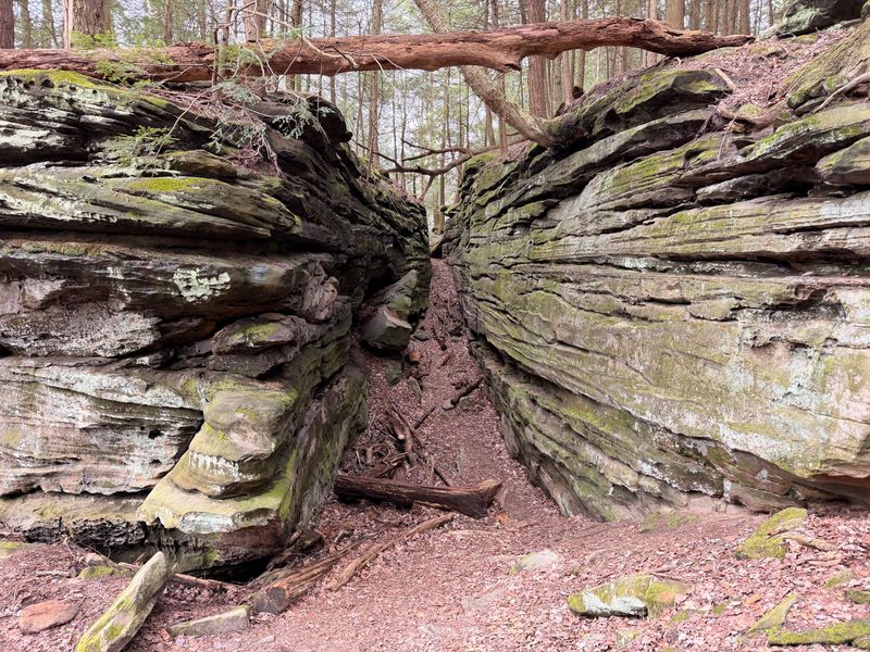 Where Southern Ohio Copperheads Are Found