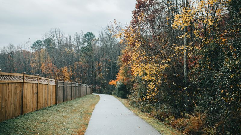 Why Suburban Trails Appeal to Coyotes