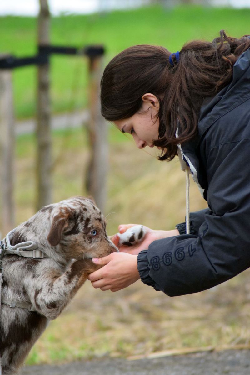 What Dog Owners Can Monitor After Outdoor Adventures
