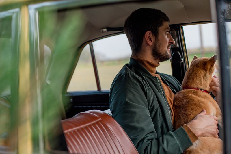 What California Dog Owners Should Check Before Traveling