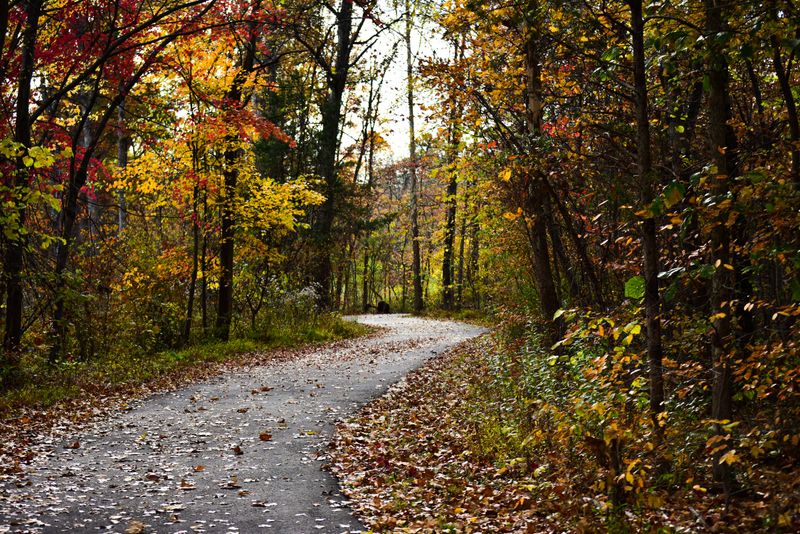 Places You Might Cross Paths in Virginia