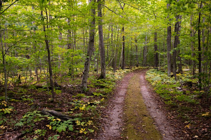 Know Which Areas Have Wolf Activity