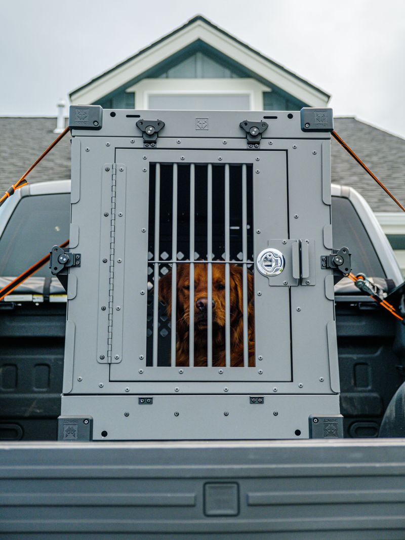 What California's Restraint Rules Require