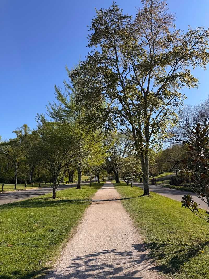 Sequoyah Greenway - Knoxville, With a Surface Warning