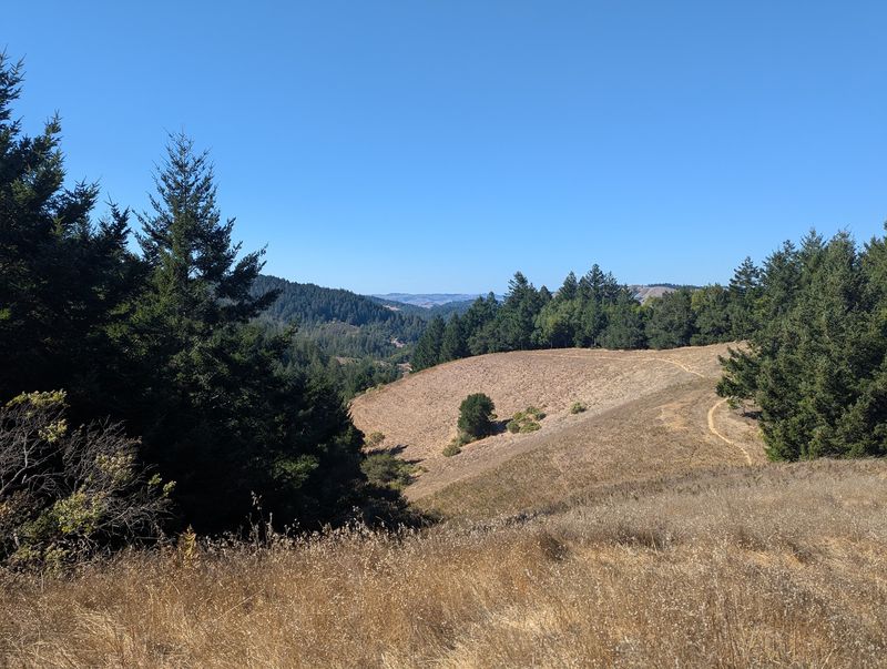 San Geronimo Ridge Fire Road: A Bigger Day Out