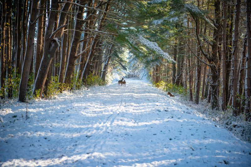 Wildlife Watching Becomes Part of Every Outing