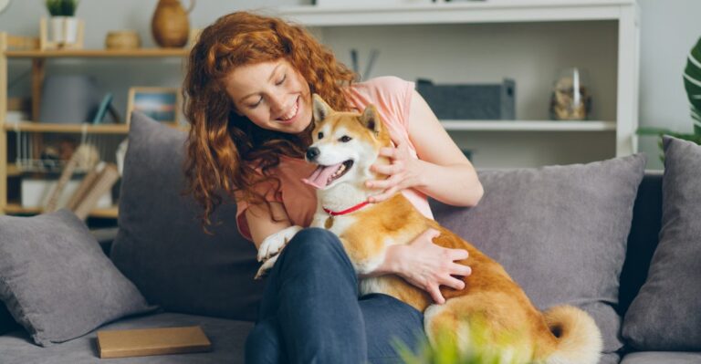 Why A California Move Is A Good Time To Recheck Dog Licensing And Registration Requirements