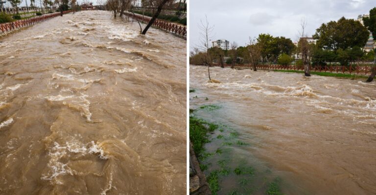 Why Fast-Rising Water Along Ohio Creeks Can Catch Dogs Off Guard After Storms