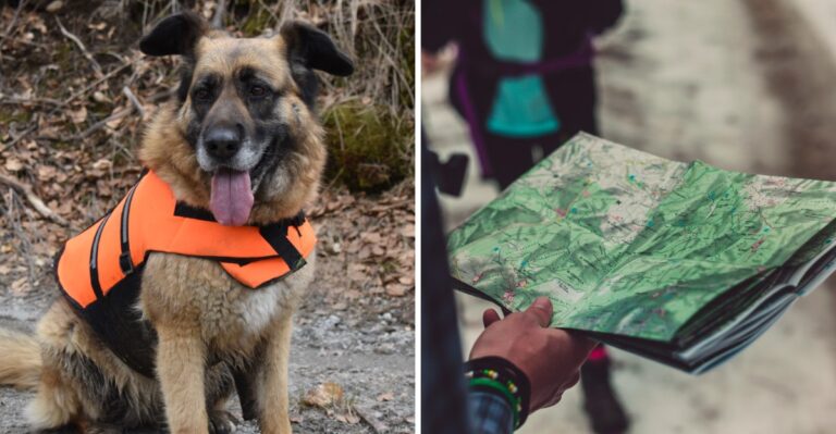 15 Hunting-Season Precautions For Dogs On Indiana Trails And Rural Land