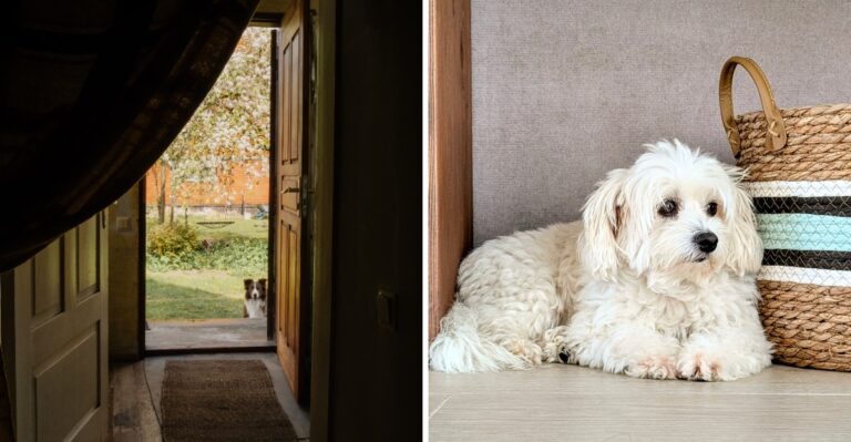 12 North Carolina Mudroom Setups That Make Pollen, Pine Debris, And Wet Paws Easier To Manage