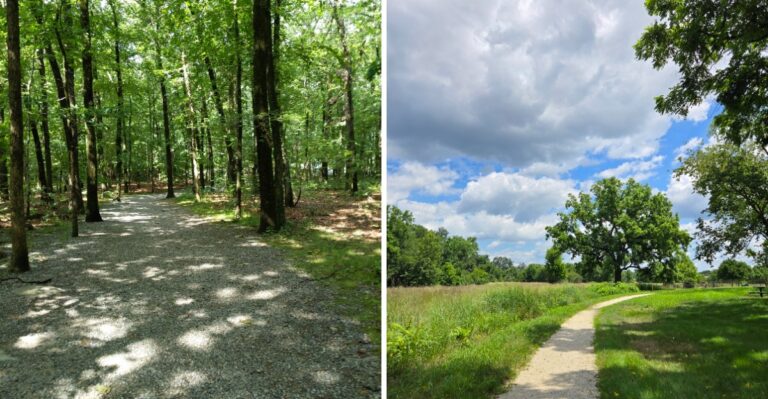 16 New Jersey Paved Greenways For Senior Dogs And Strollers