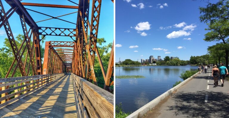17 Massachusetts Trails For Long, Low-Stress Walks With Your Dog