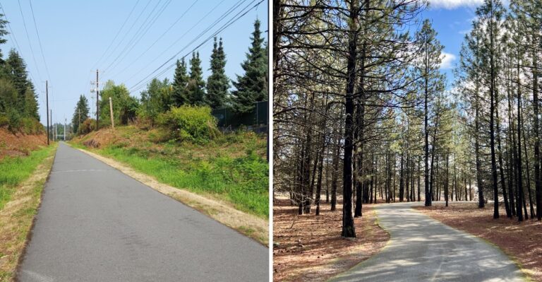 16 Washington Paved Greenways For Senior Dogs And Strollers