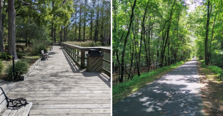 17 North Carolina Paved Paths For Senior Dogs And Strollers